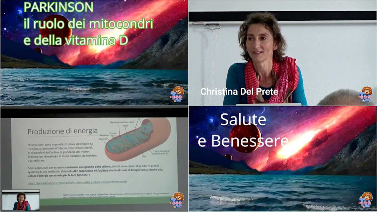 'Parkinson - Il ruolo dei mitocondri e della vitamina D' episoode image